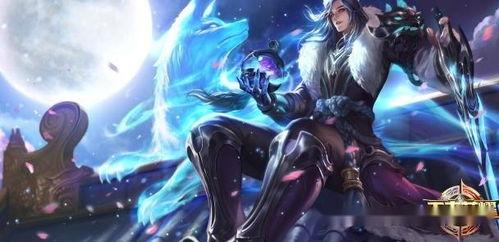 老刘王者爆料视频大全,揭秘游戏幕后精彩瞬间